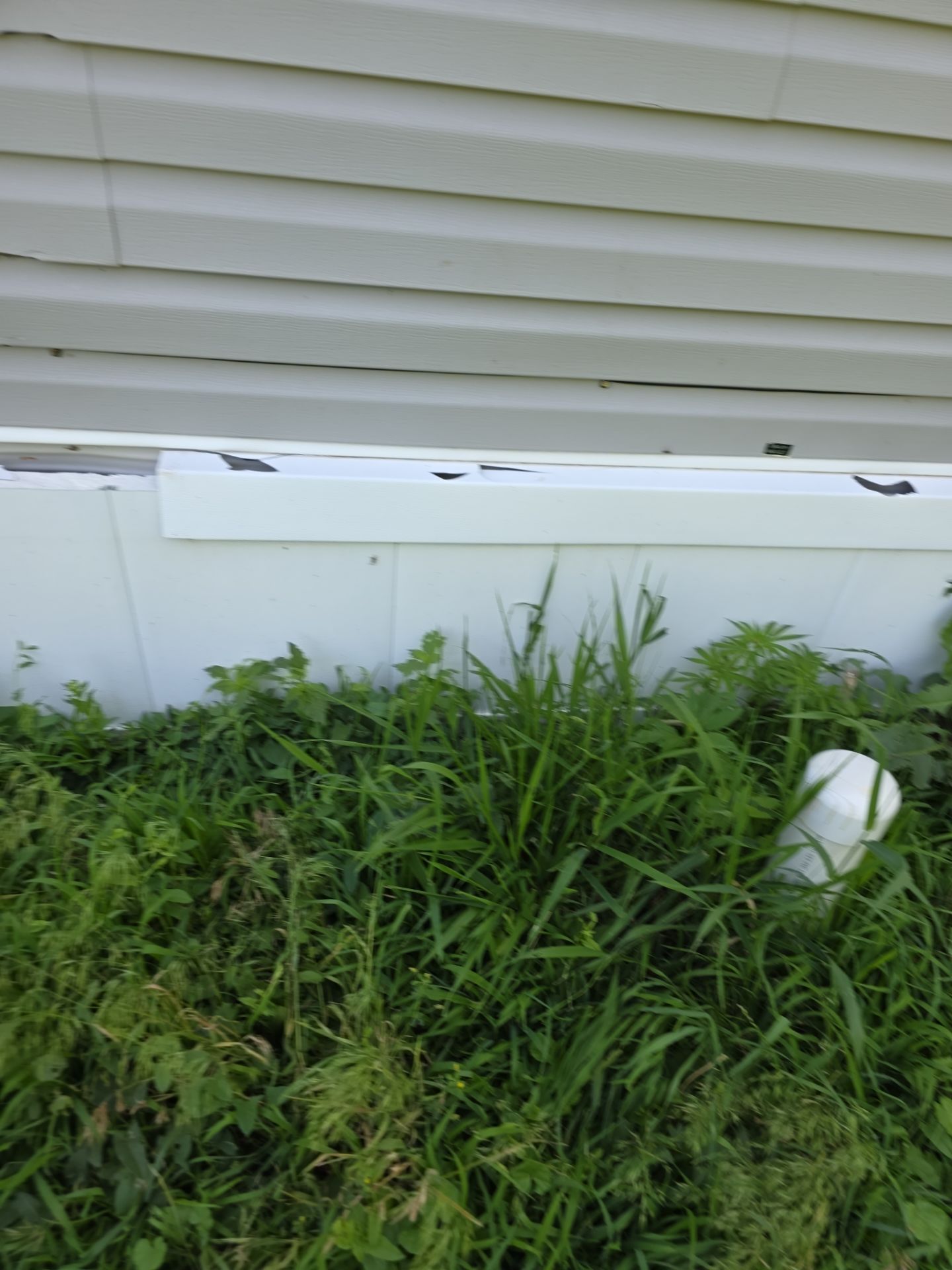 Riverdale Exterior Transformation | TAMKO Roofing & James Hardie Siding by Loyal Nine