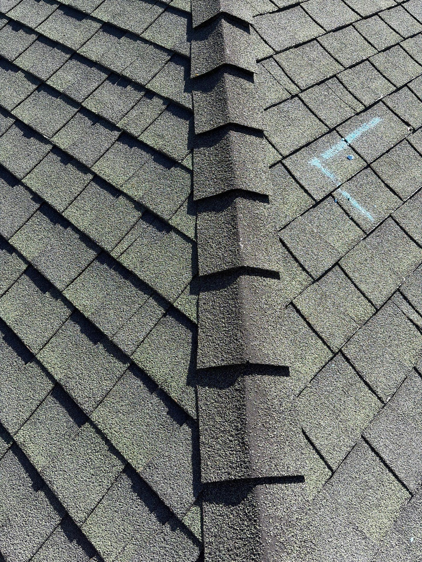 Roof Rejuvenation using Roof Maxx Treatment by Roof Maxx of Folsom