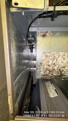 Air Duct Cleaning in Winter Garden