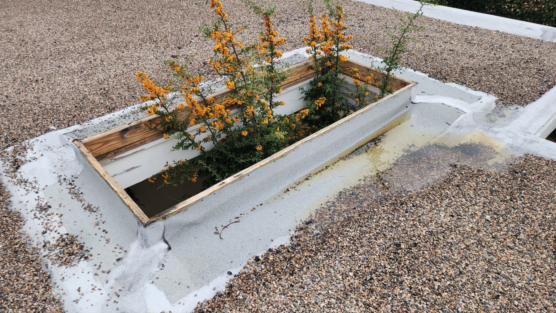 Albuquerque TPO Roof Replacement in the Northeast Heights EPS Slope and Custom Skylights by Doyle Roof Masters Inc