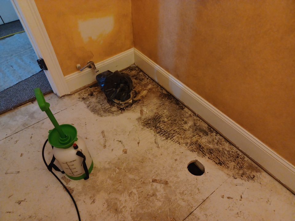 Project in Novi by EzDry Water Mitigation & Property Restoration