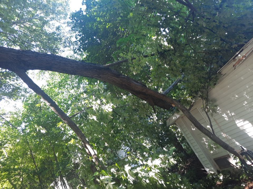Storm Damaged Tree Removal  using Tree Removal by Mike Jones & Sons Tree Service LLC 