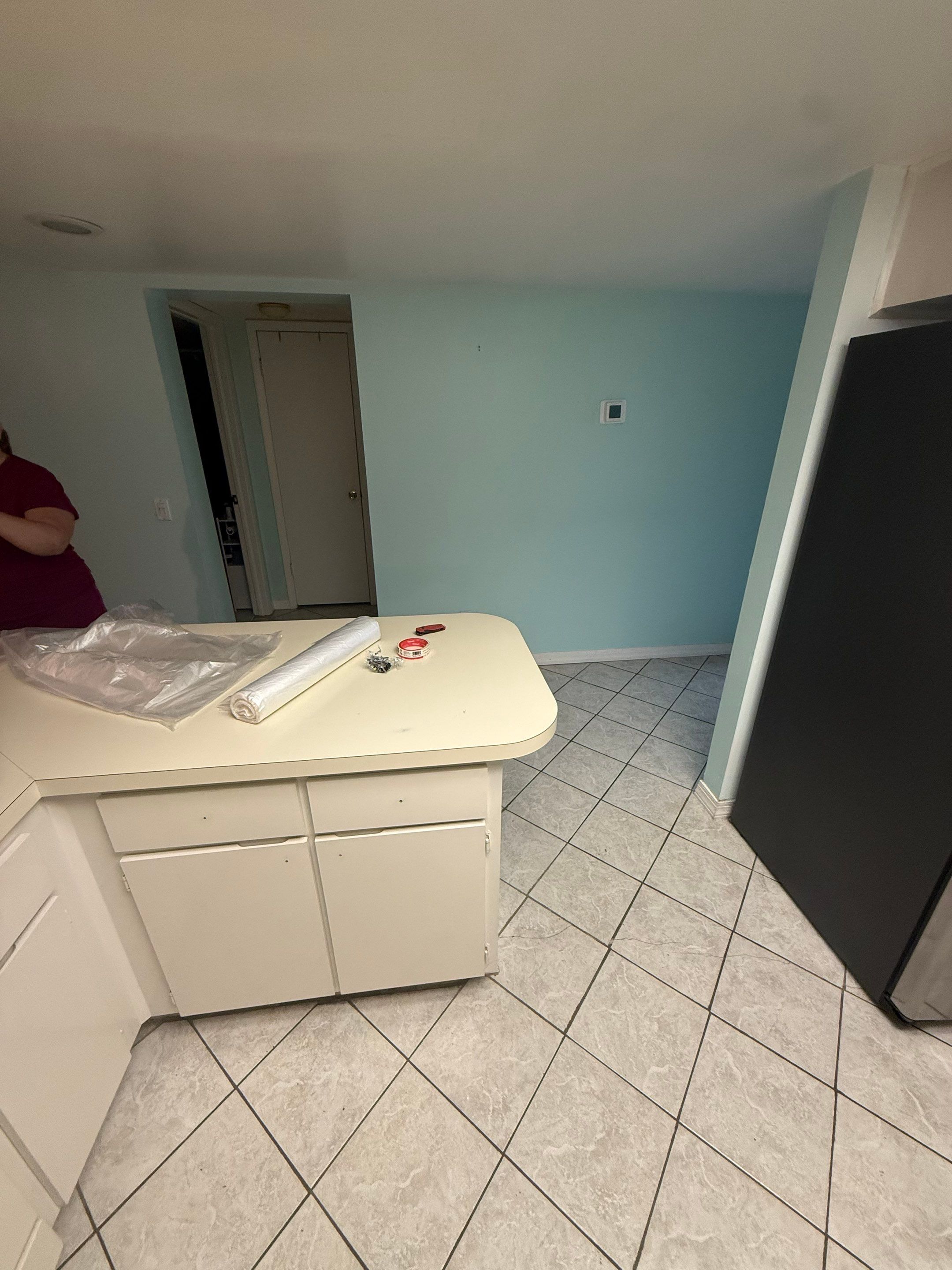 Project in Palm Harbor, FL by Proline 