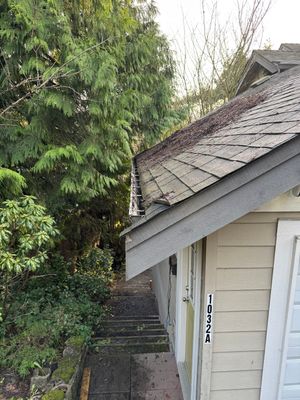 Gutter Cleaning