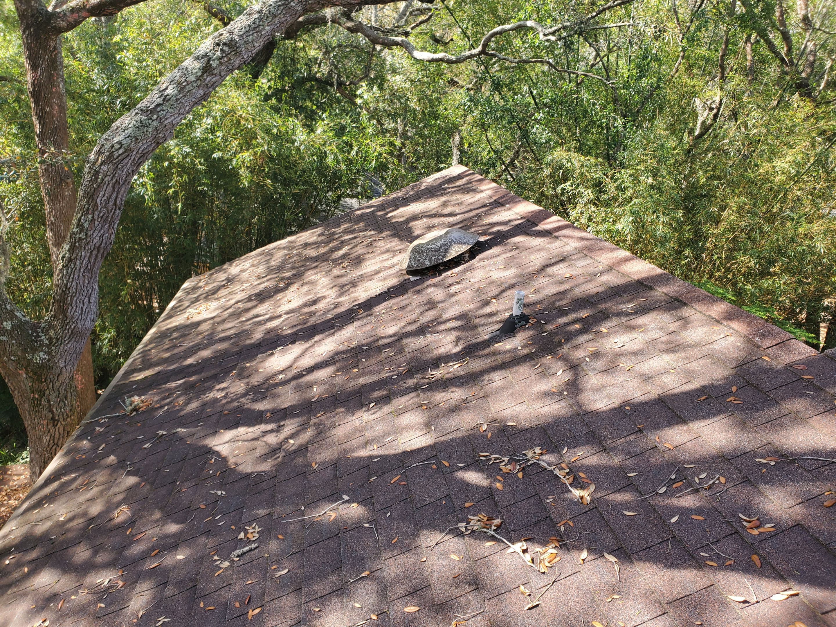 Shingle -> Metal by Prime Roofing