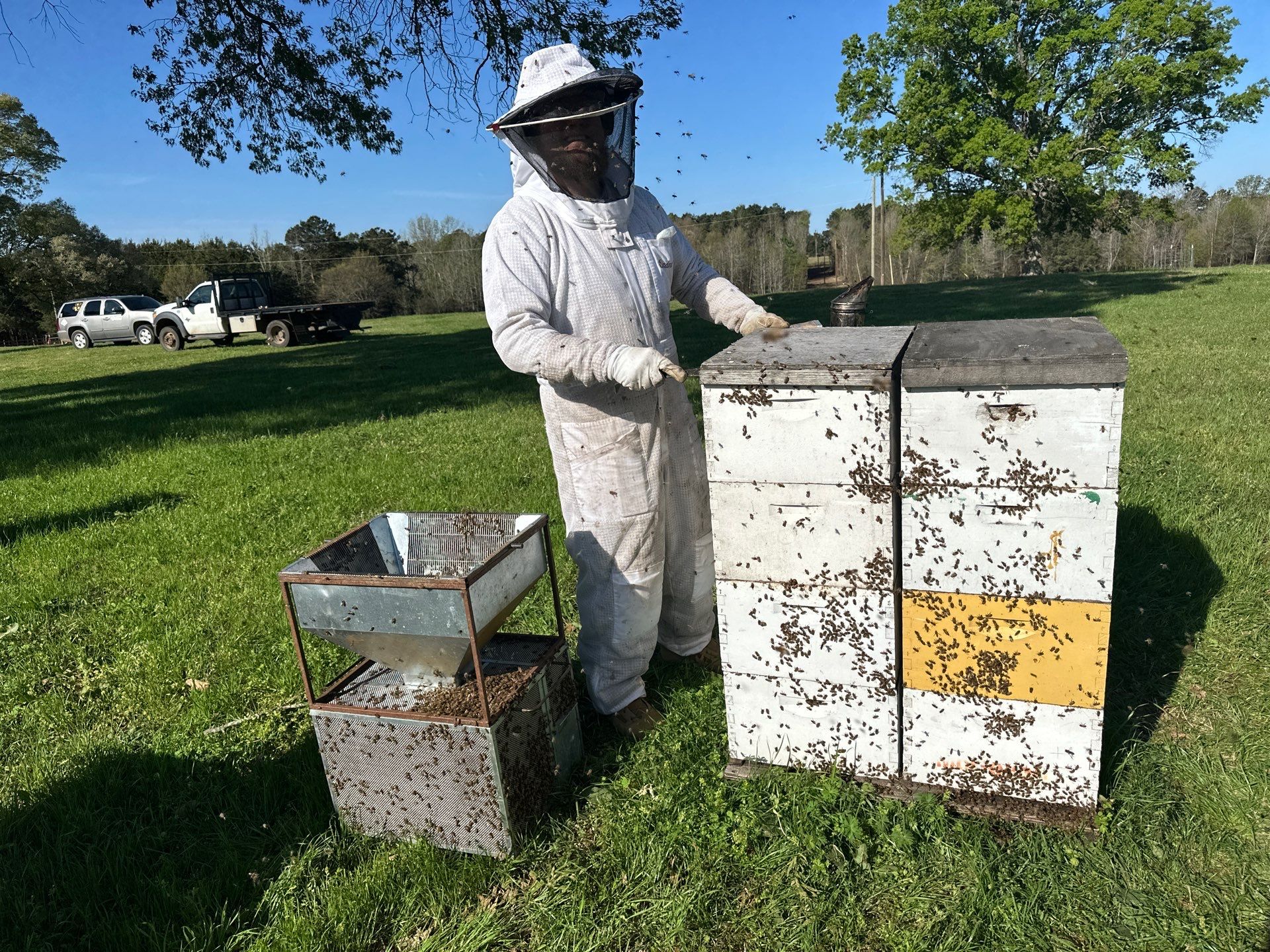 Peanut Farm Apiary by Rockwall Honey Bee Company