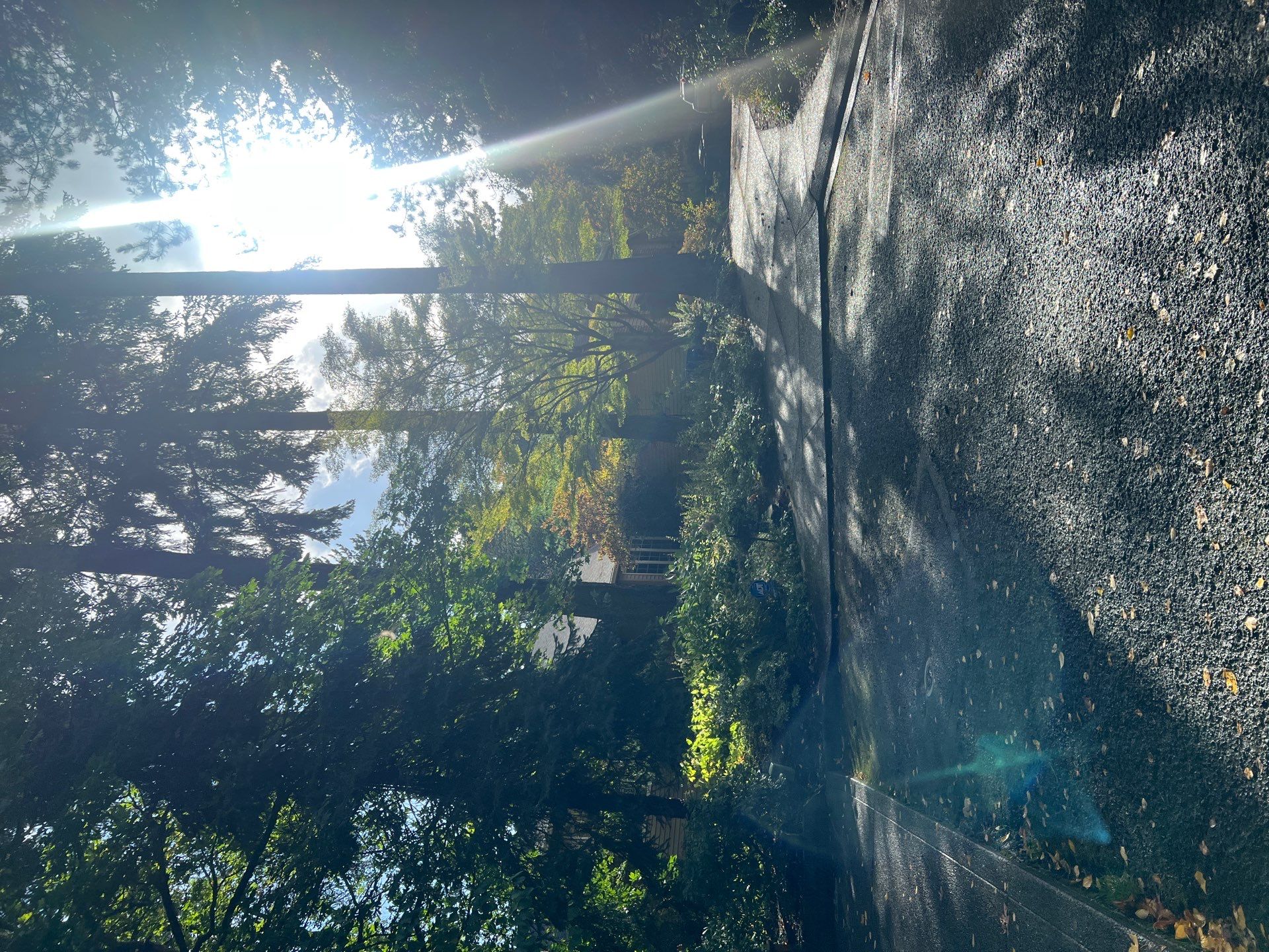 Home Claening Project in Lake Oswego by Cloud 9 Professional Cleaning Services