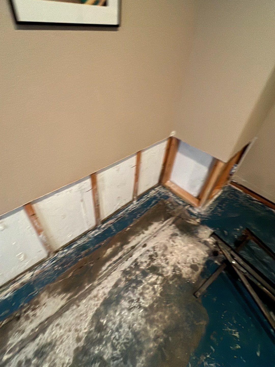 Mold Damage by Accountable Home Services