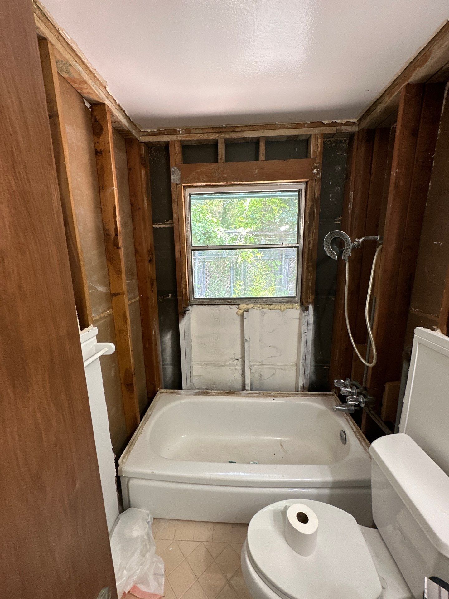 New Shower-Tub combo in Austin, 78704 by Lane Lauritsen - The Hill Country, Texas