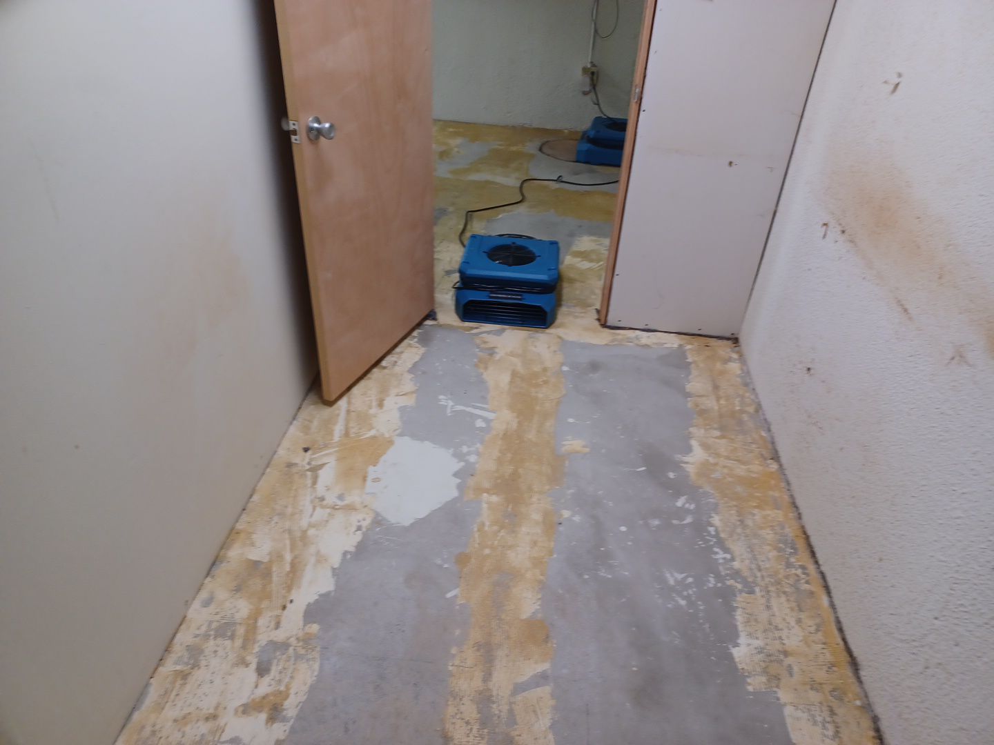 Project in Bloomfield Hills by EzDry Water Mitigation & Property Restoration