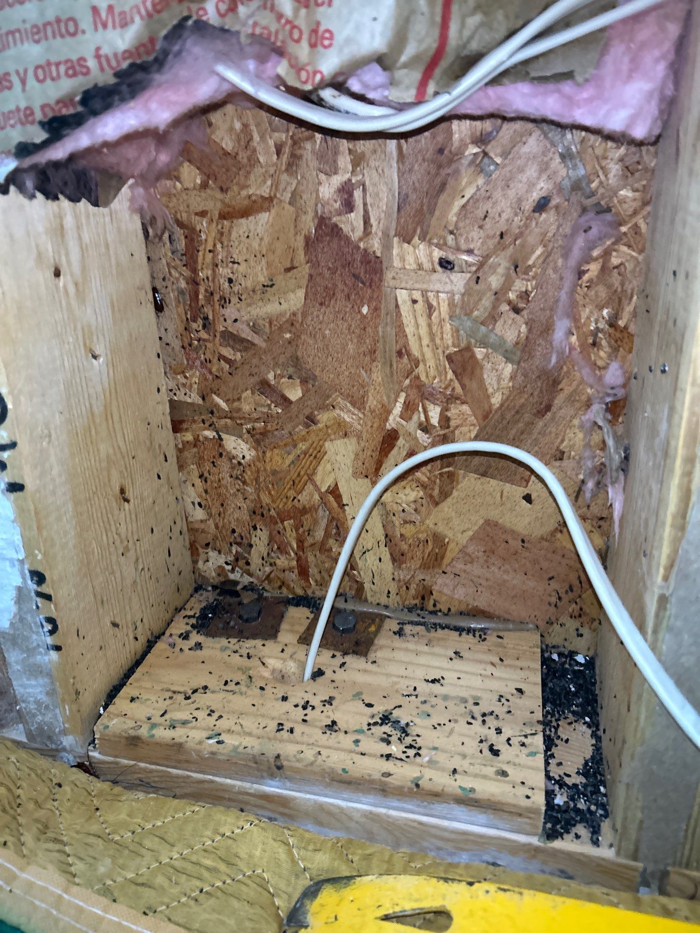 Mold Remediation Sarasota by Ampm Restoration Services