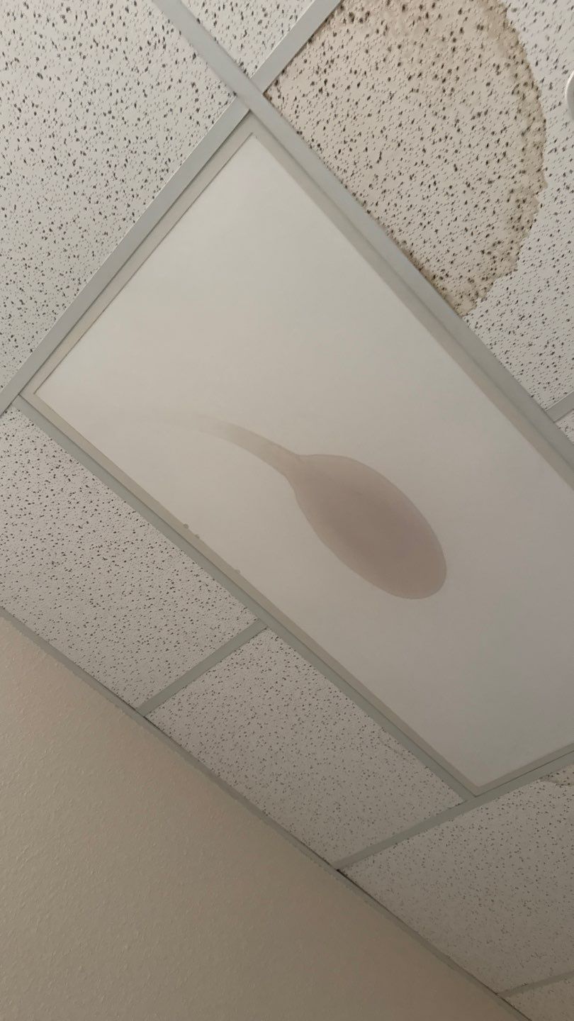 Project by NuLead Construction Inc by NuLead Construction Inc