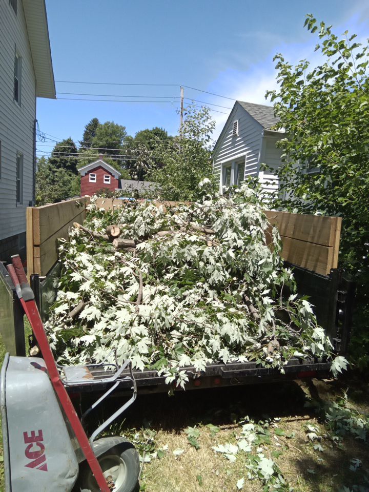 Storm Damaged Tree Removal  using Tree Removal by Mike Jones & Sons Tree Service LLC 