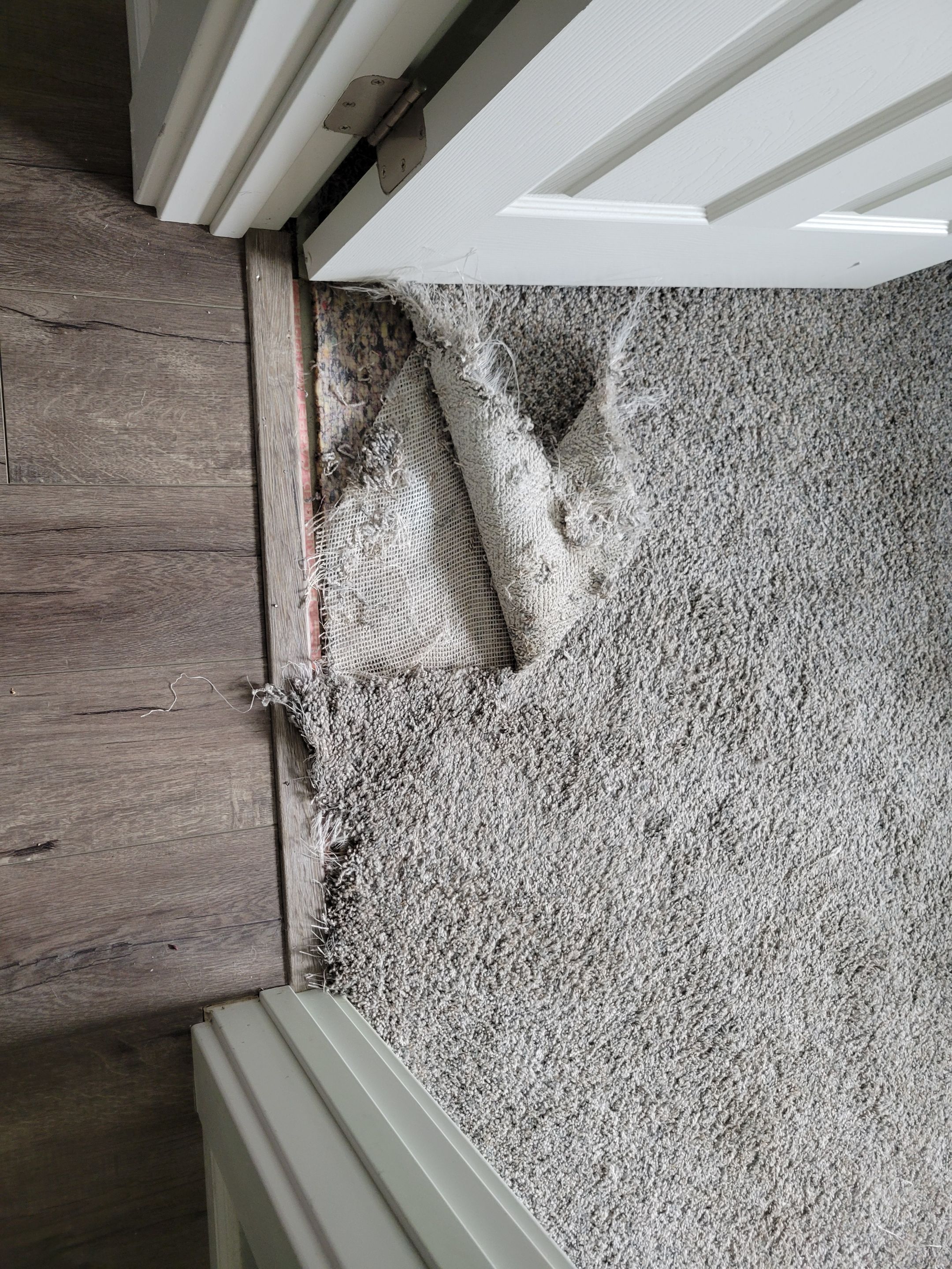 Carpet Repair, Dog Damage in West Sac by Ardent Carpet Restore LLC