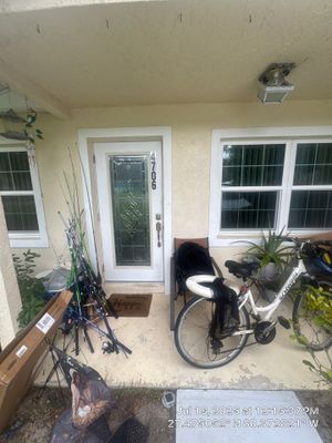 Water Damage Assessment and Moisture Detection in Fort Pierce