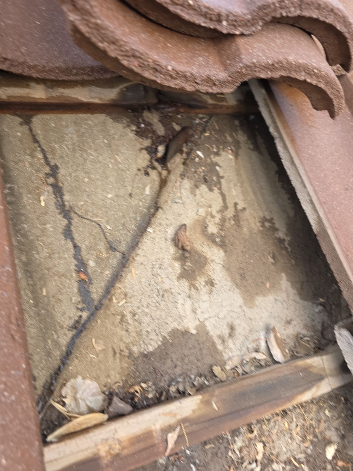 Protect Your Investment: Arizona Roofing Company's Expertise at Work! by Weather-Tite Roofing