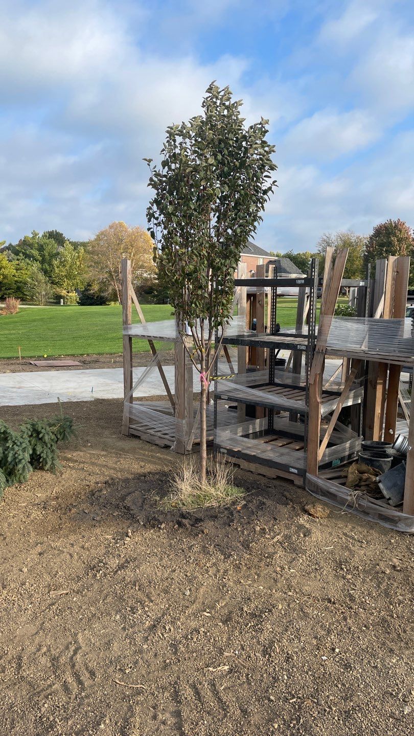 Landscape Bed Updates.  by New Horizon Landscapes