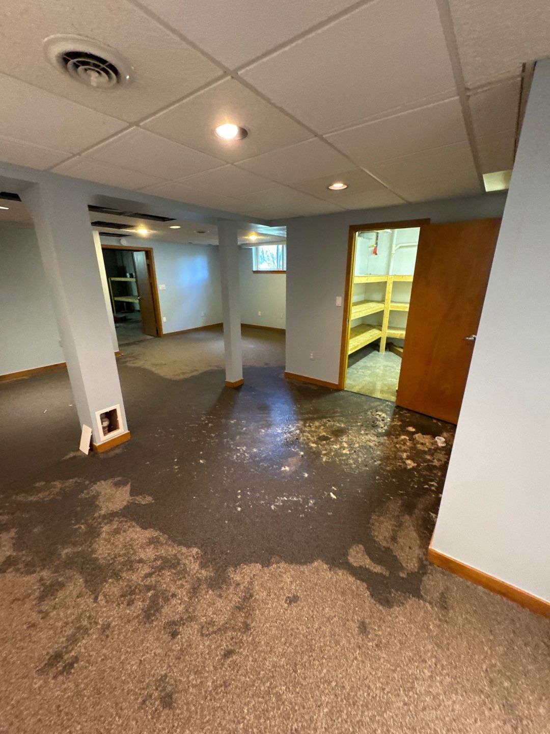 Project in West Bloomfield by EzDry Water Mitigation & Property Restoration