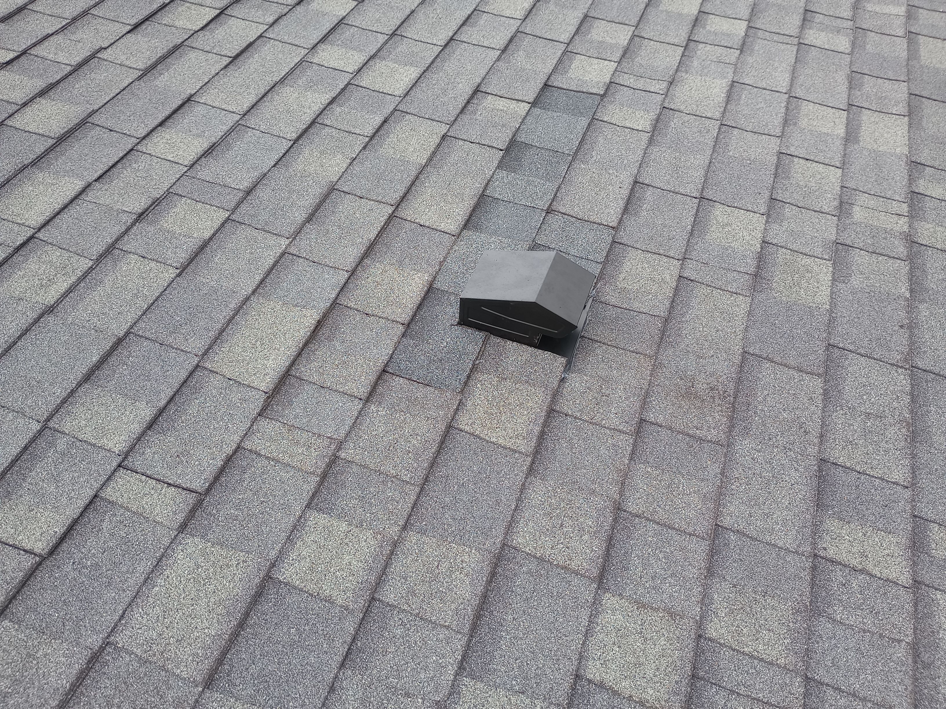 Diane Weisburn by Silver Leaf Contracting 