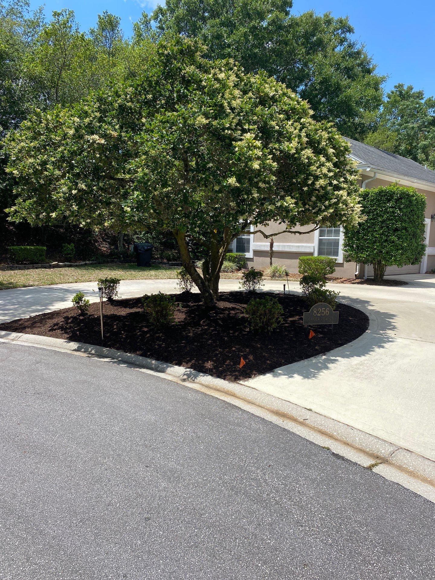 Deerwood Resident | Clean-Up and Sod by ProGreen Services