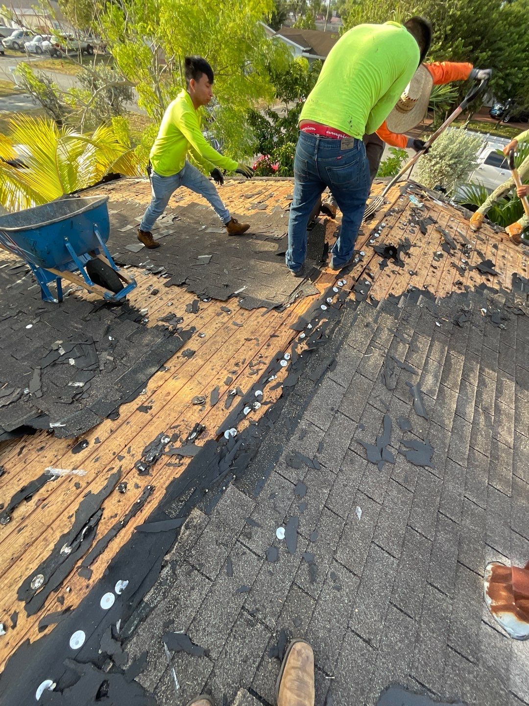 Beautiful Blue Shingle Re-Roof in Hollywood! by First Due Roofing
