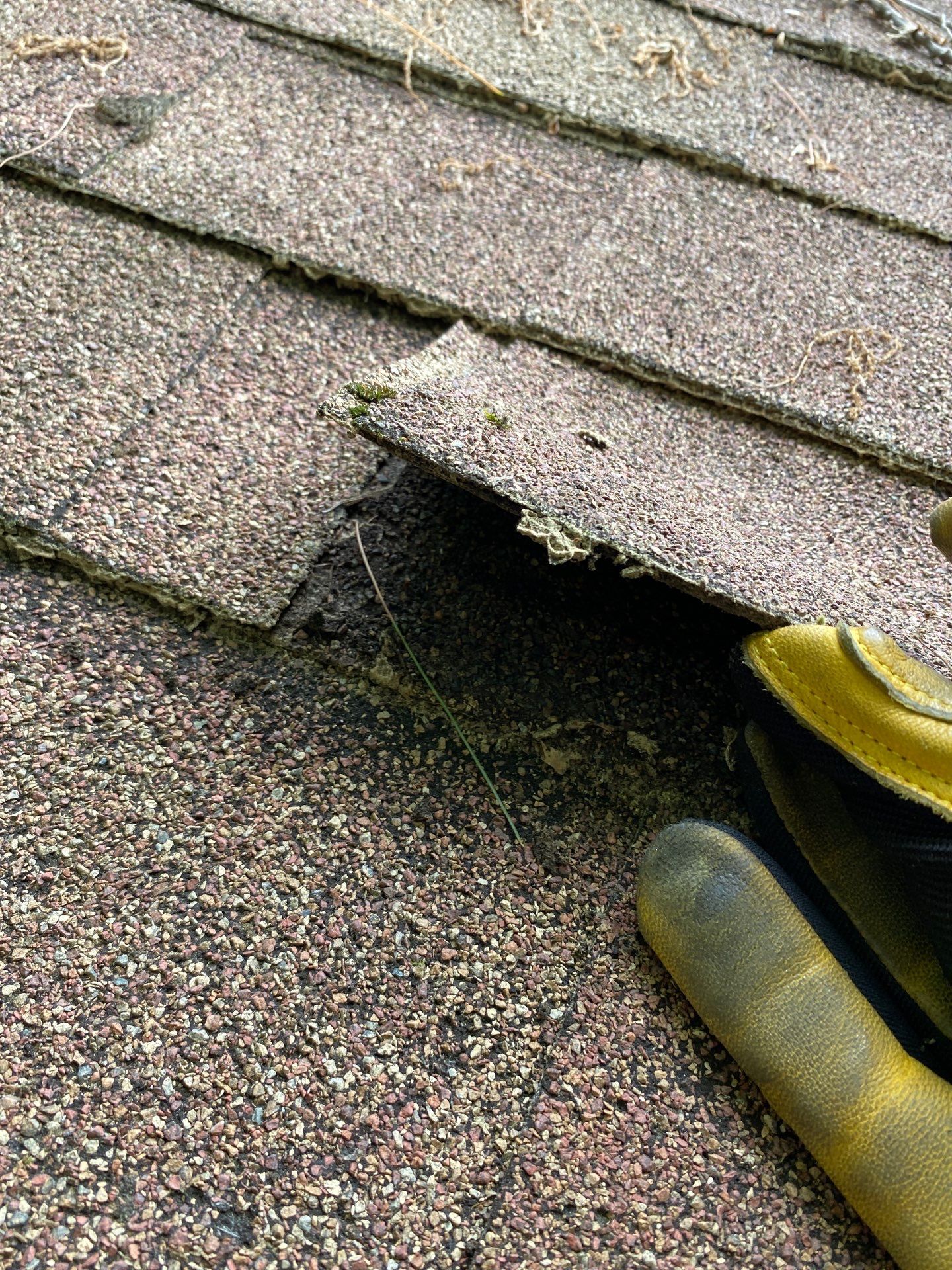 Roof Replacement & Skylight Installation in Bedford, MA by Mighty Dog Roofing of Greater Middlesex County
