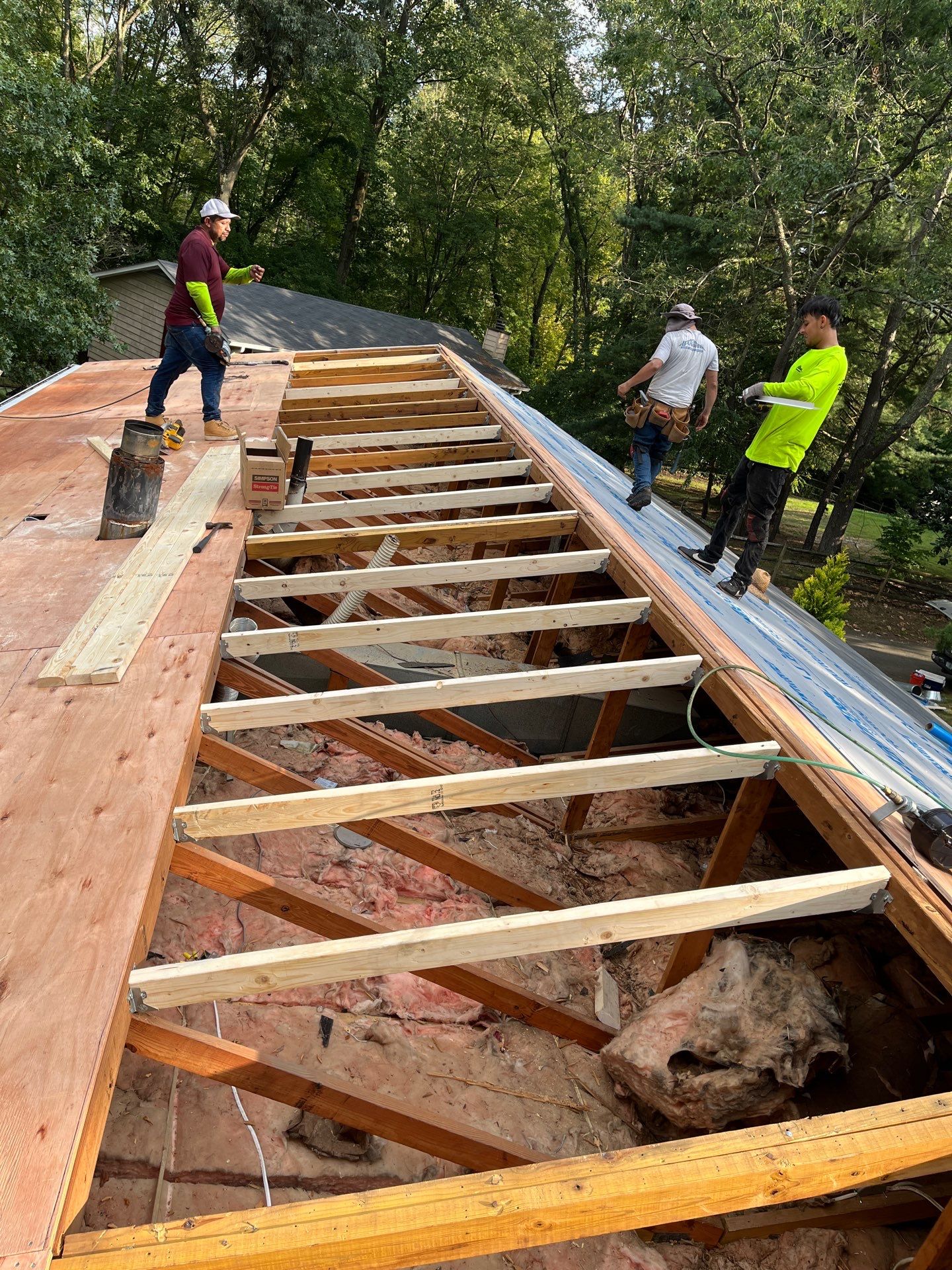 Reston: Roof Replacement with CertainTeed Landmark Pro Designer Shingles in Max Def Moire Black by RM Banning, Inc.