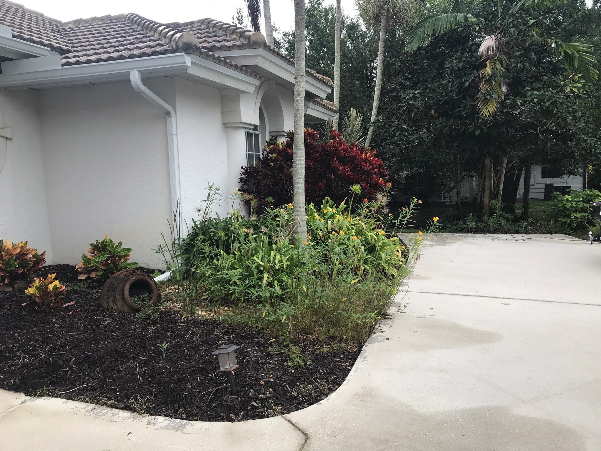 🌴 Landscape Removal and Install in Palm City by Alpha Zeta Enterprises Inc