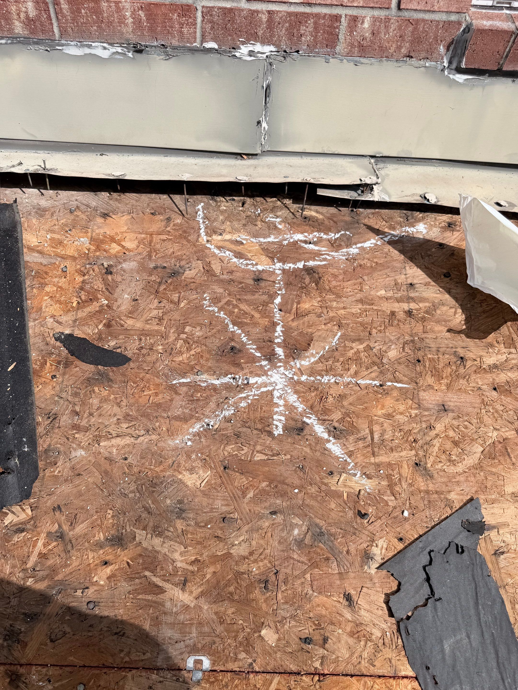 Toni S by Boss Hogg Roofing