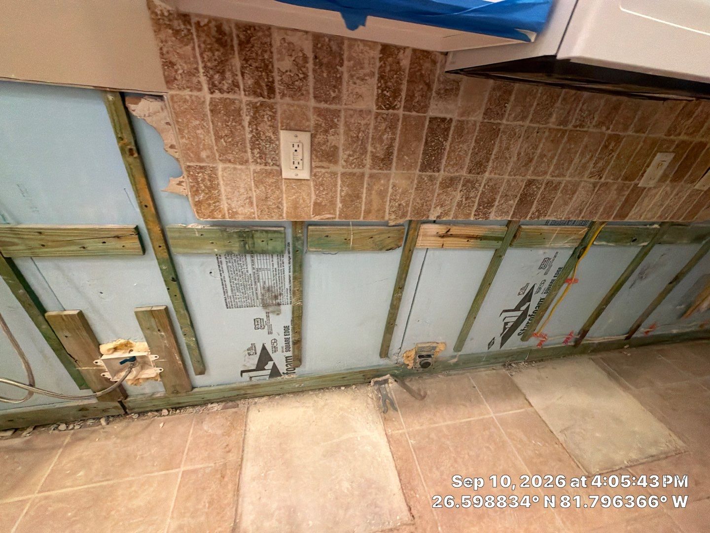 Fort Myers Water Damage Restoration and Professional Mold Remediation by Microscope