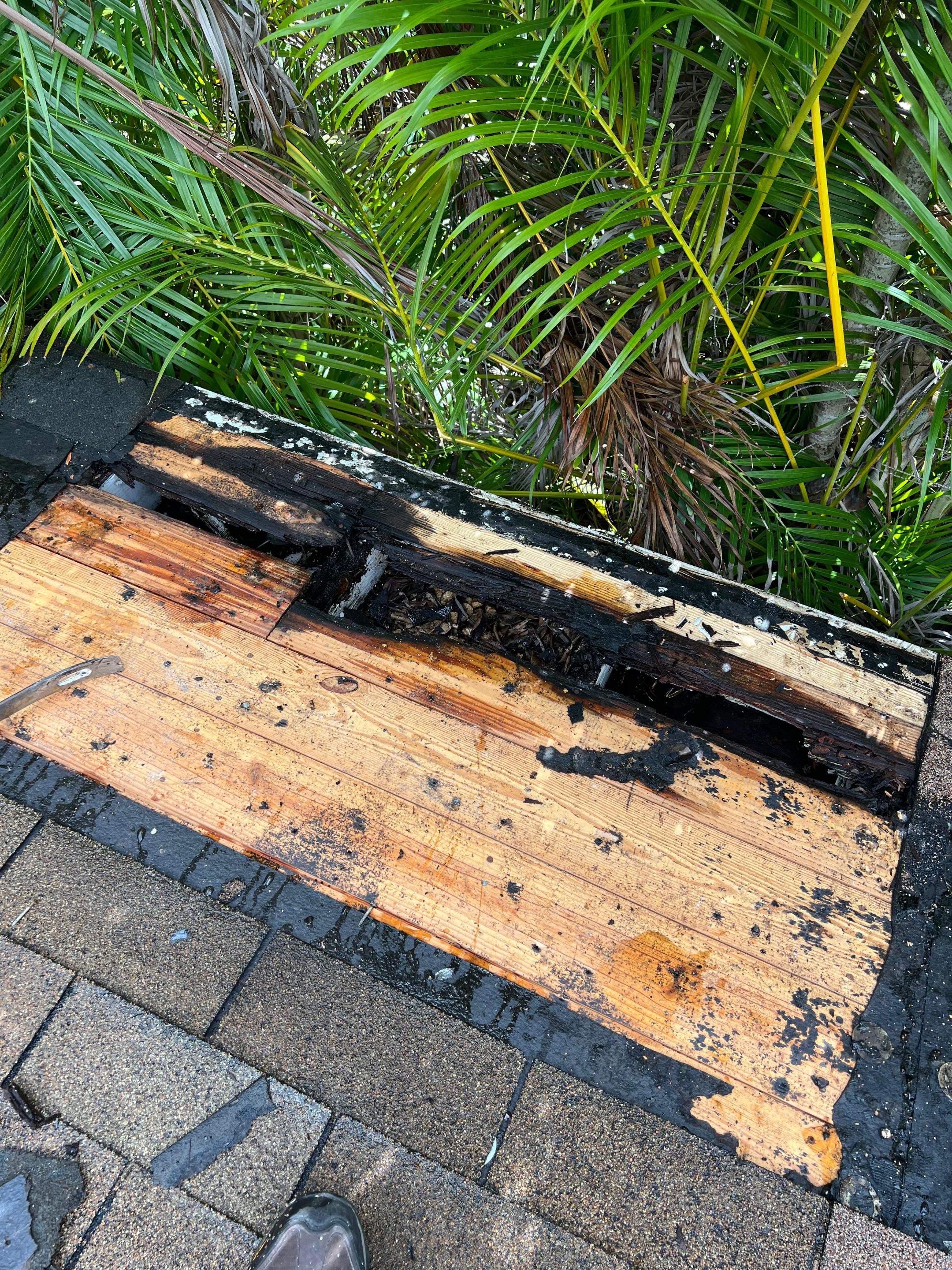 Project in North Miami Beach by Silverline Roofing Experts LLC