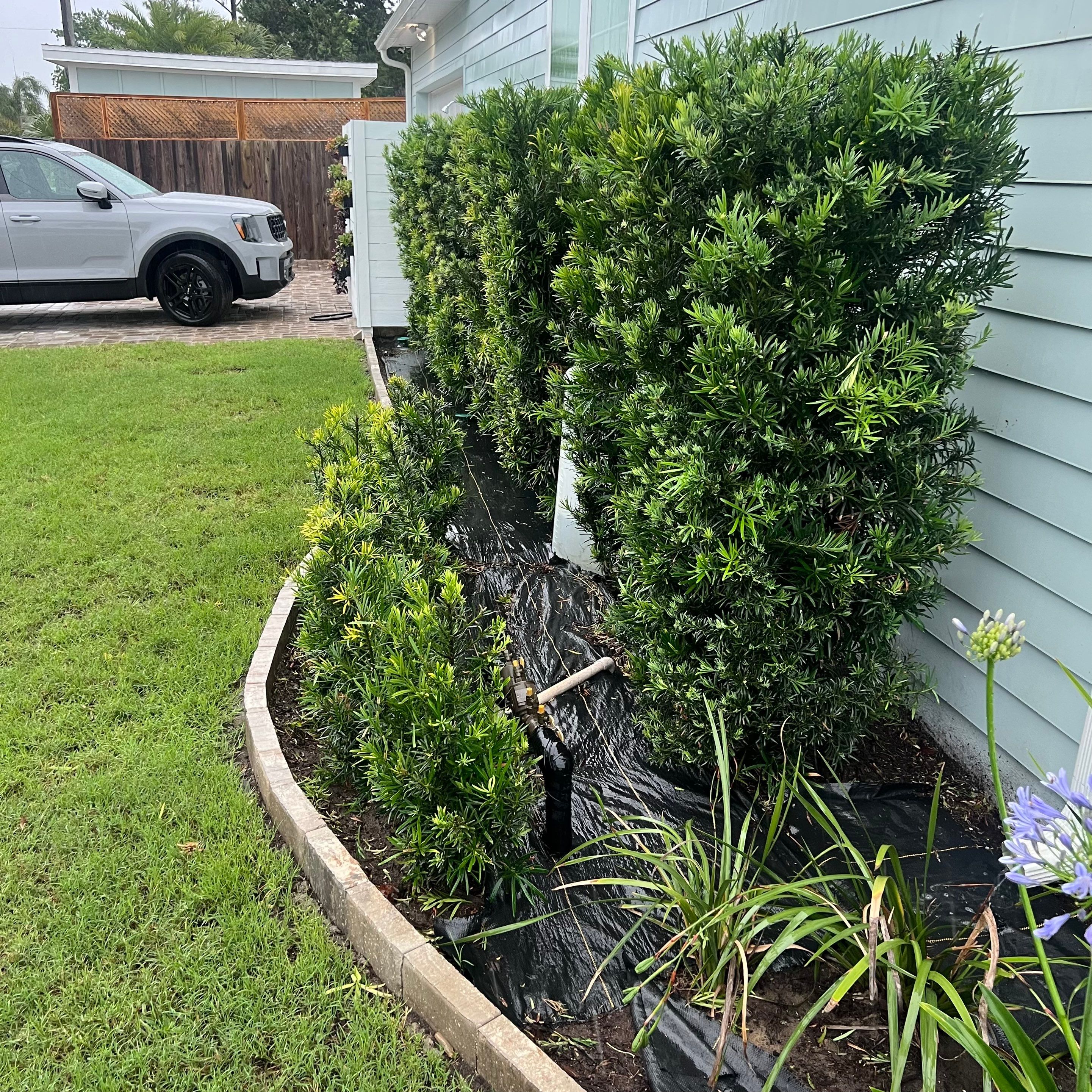 Rock & Agave Installation | Residential by ProGreen Services