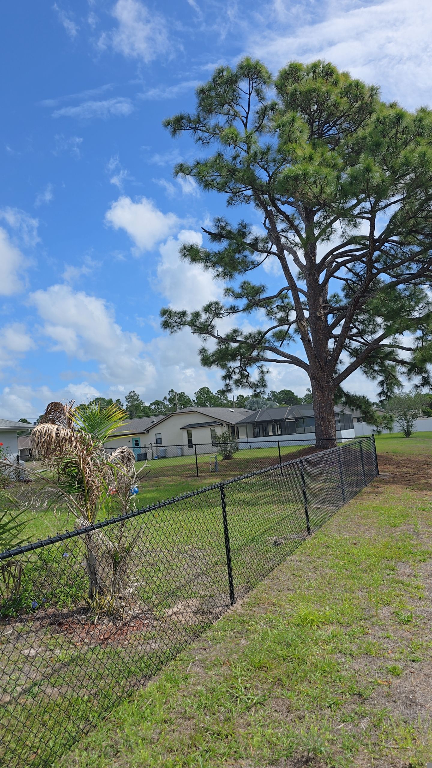 Chain Link Fence in North Port by True Fence LLC