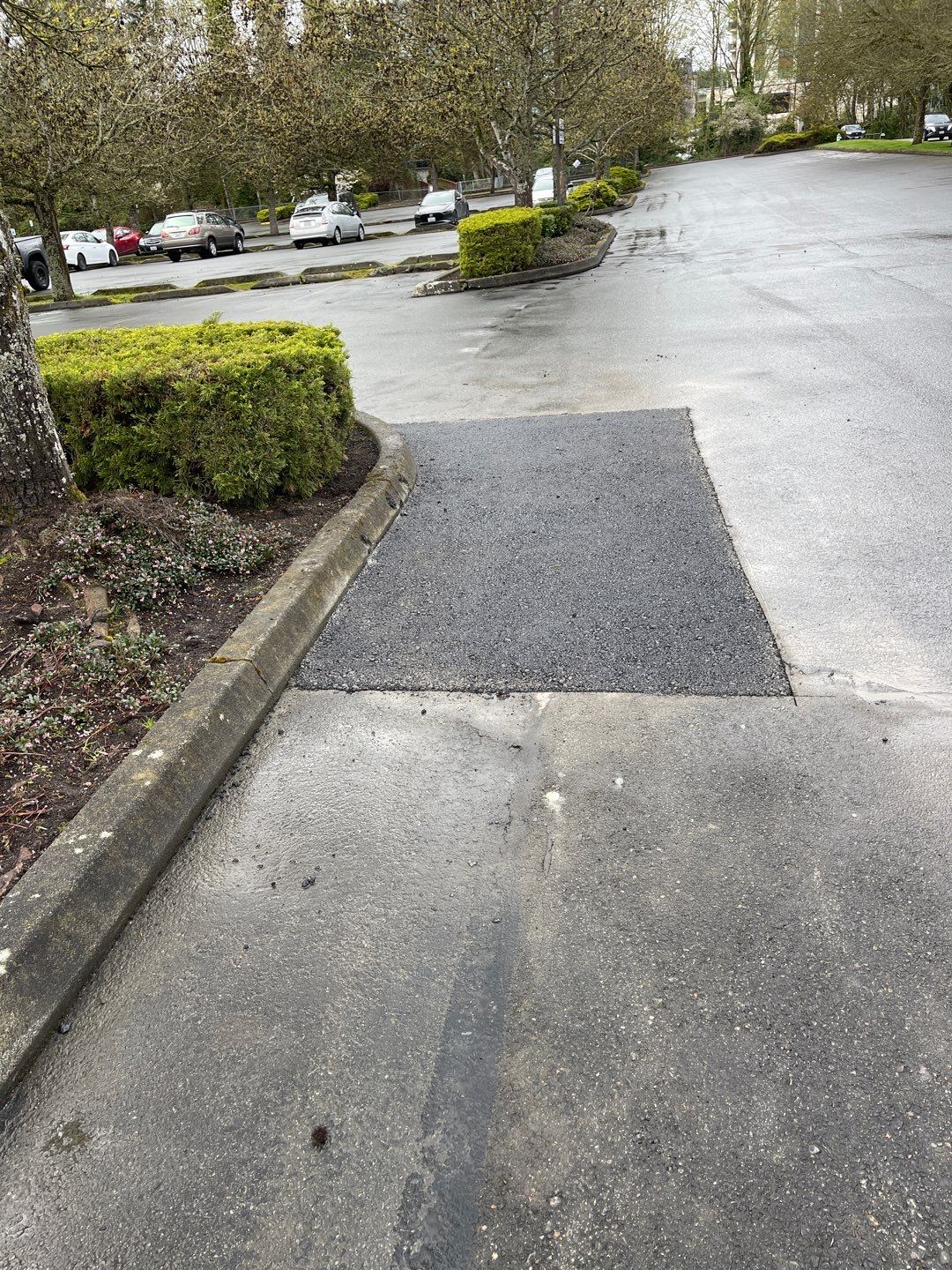 Asphalt Patch Repairs | Mountlake Terrace by Jireh Asphalt & Concrete Inc 
