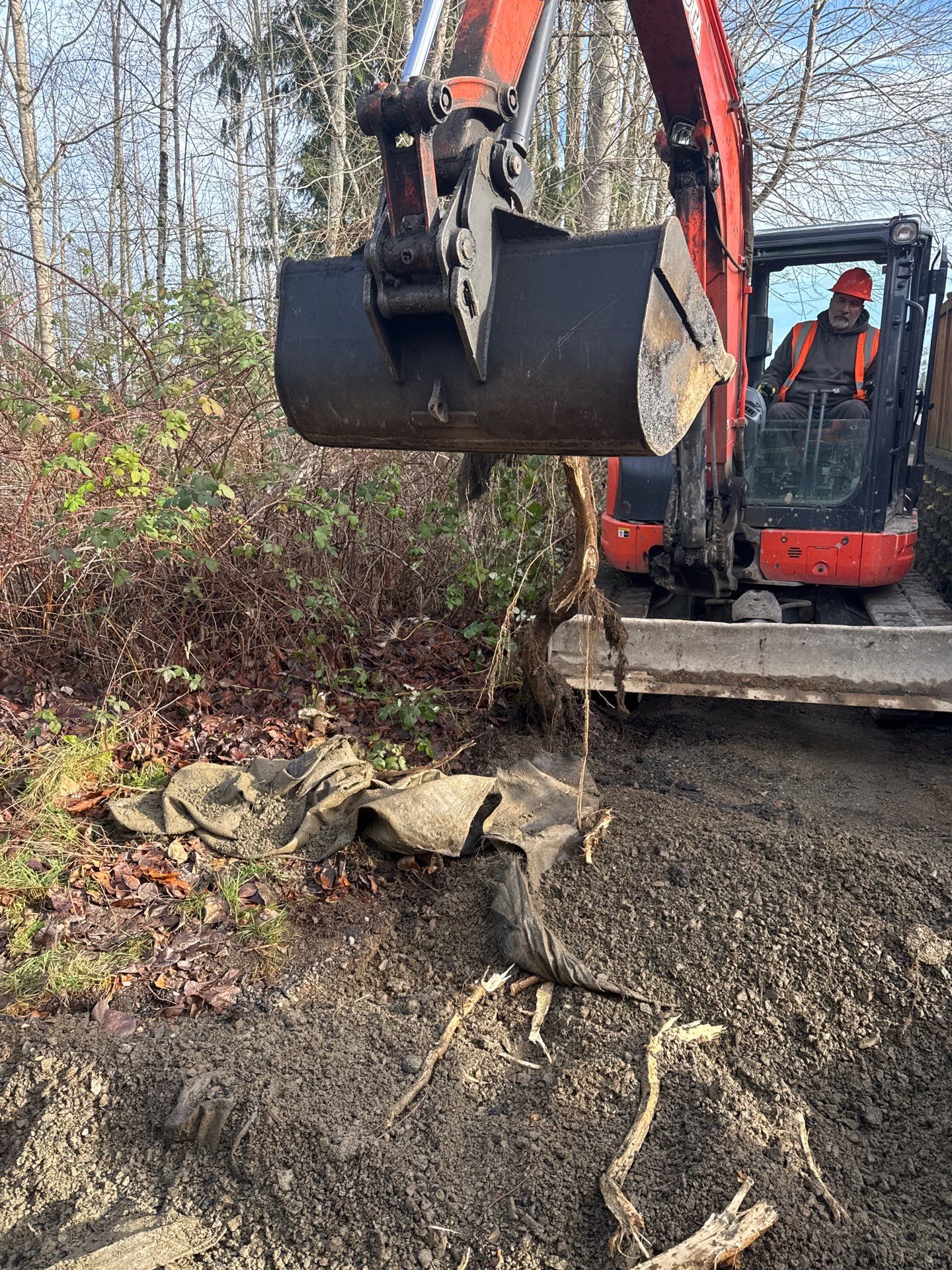 Asphalt Driveway Repair | Lake Stevens  by Jireh Asphalt & Concrete Inc 