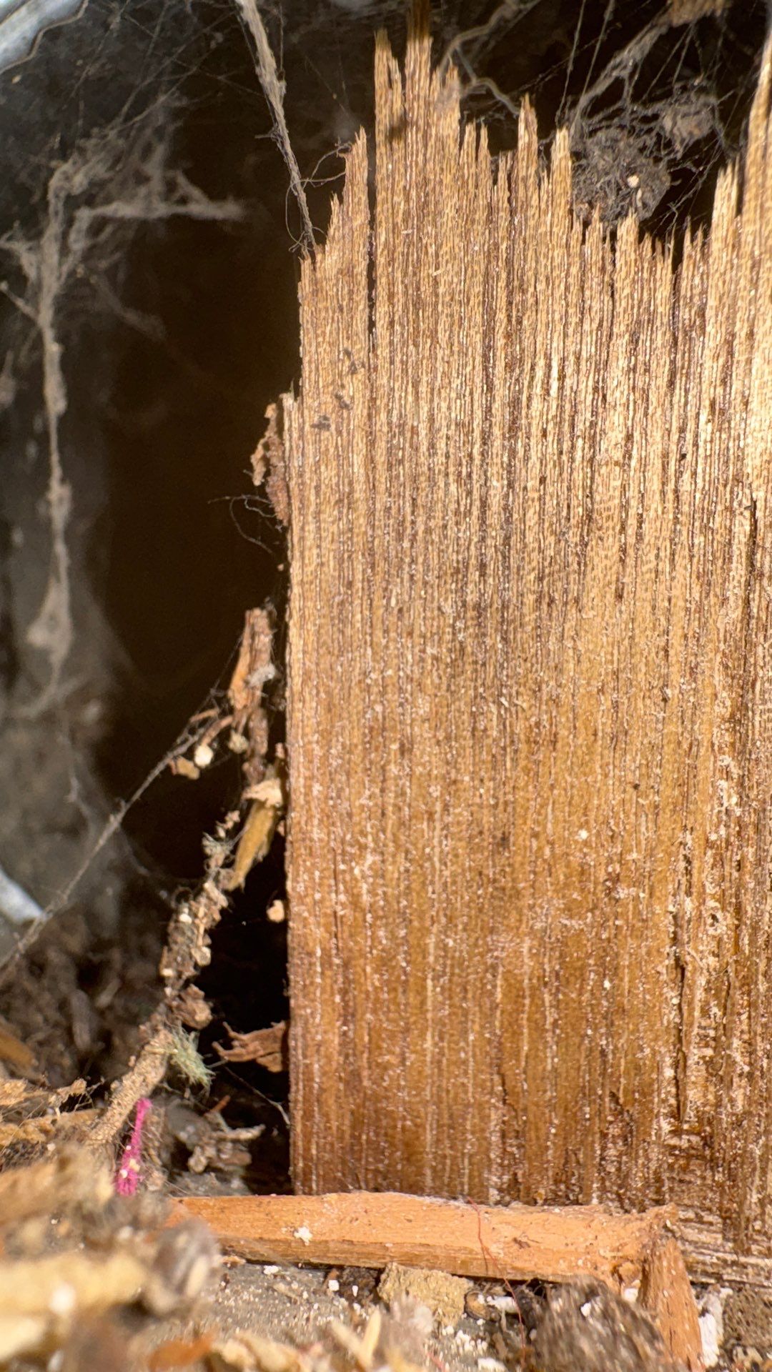 Air Duct Cleaning in Beaver Falls, PA by Superior Air Duct Cleaning