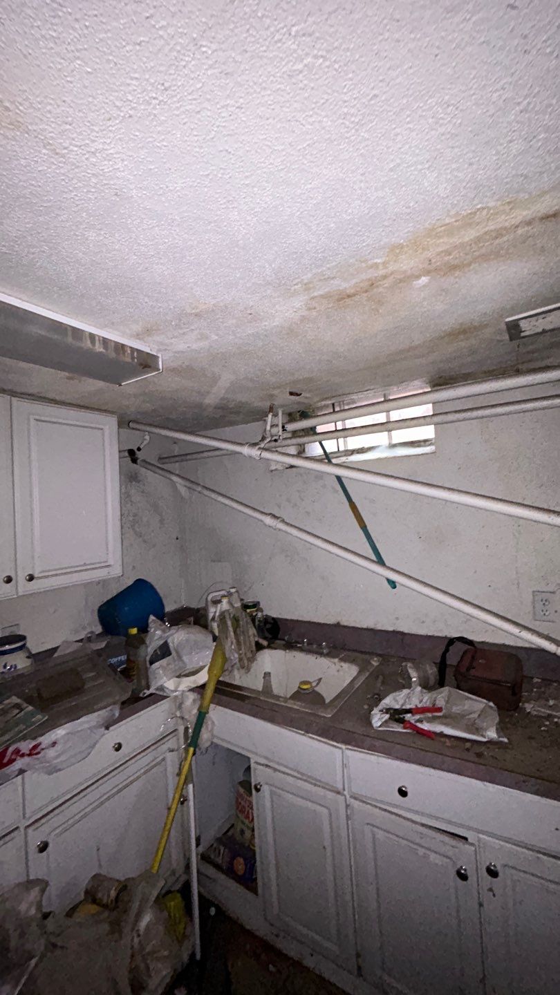 Mold Remediation by Accountable Home Services