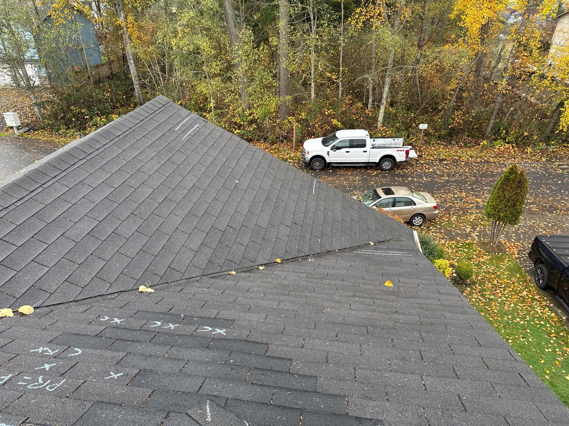 GAF Timberline NS Pewter Gray  by Proline Roofing & Restoration LLC