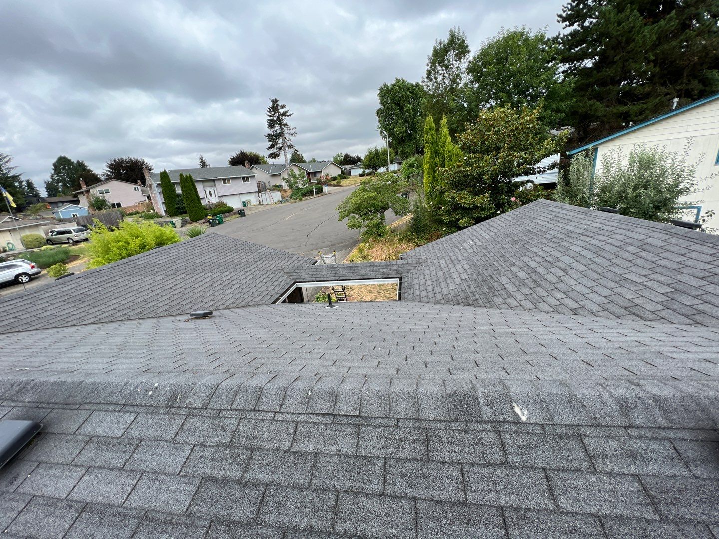 Black Sable Shingles by Reimagine Roofing