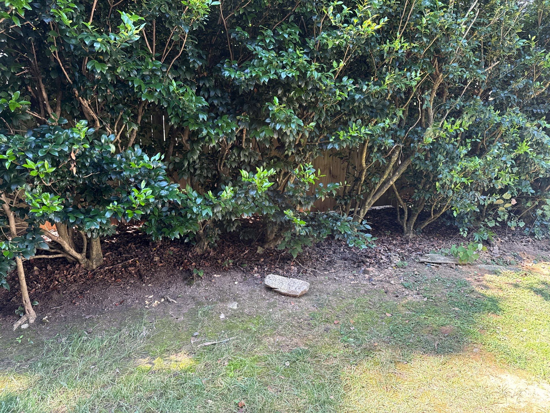 Project in Mint Hill by Badger Hauling