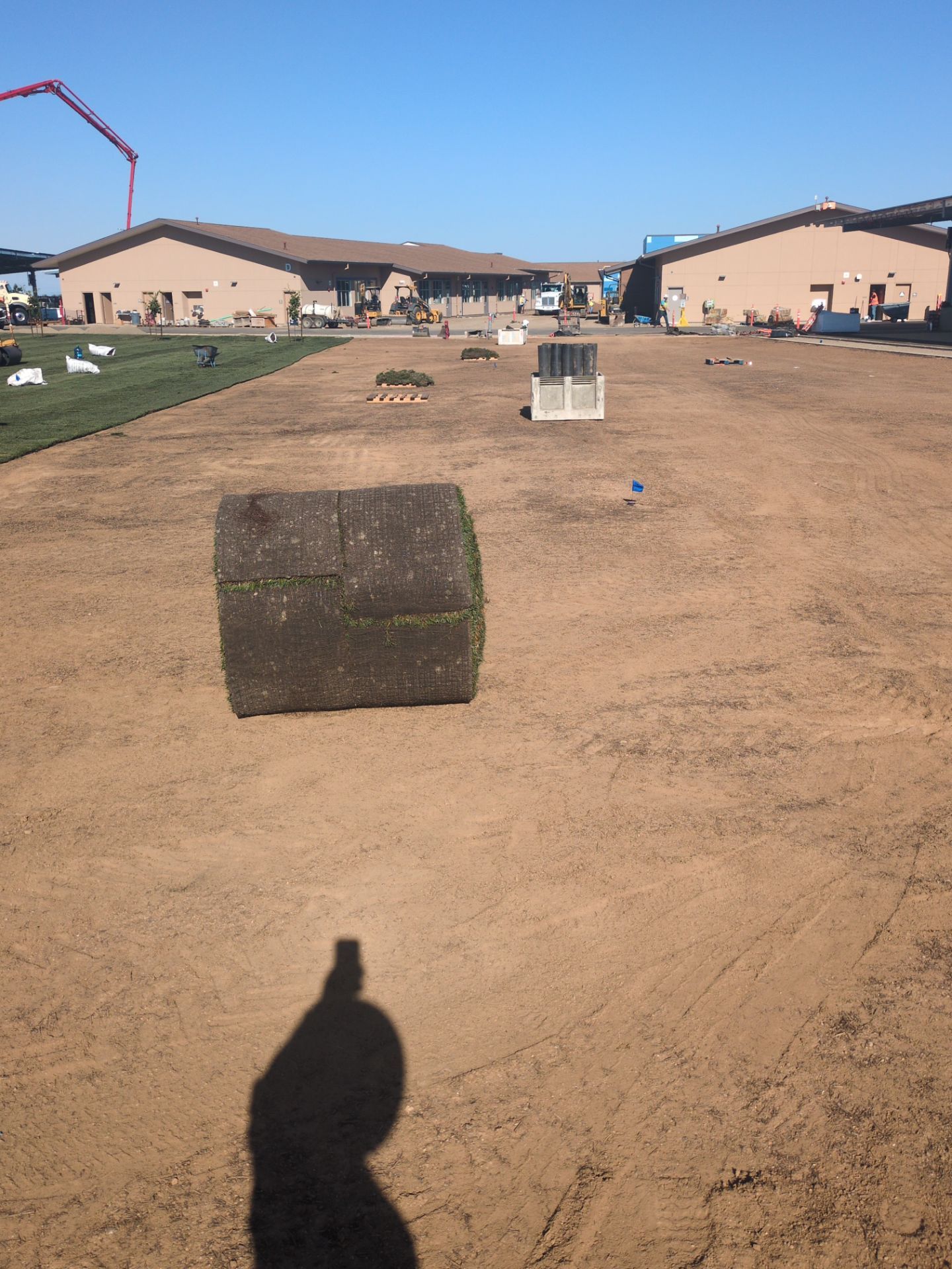 Project in Rancho Cordova by A - G Sod Farms