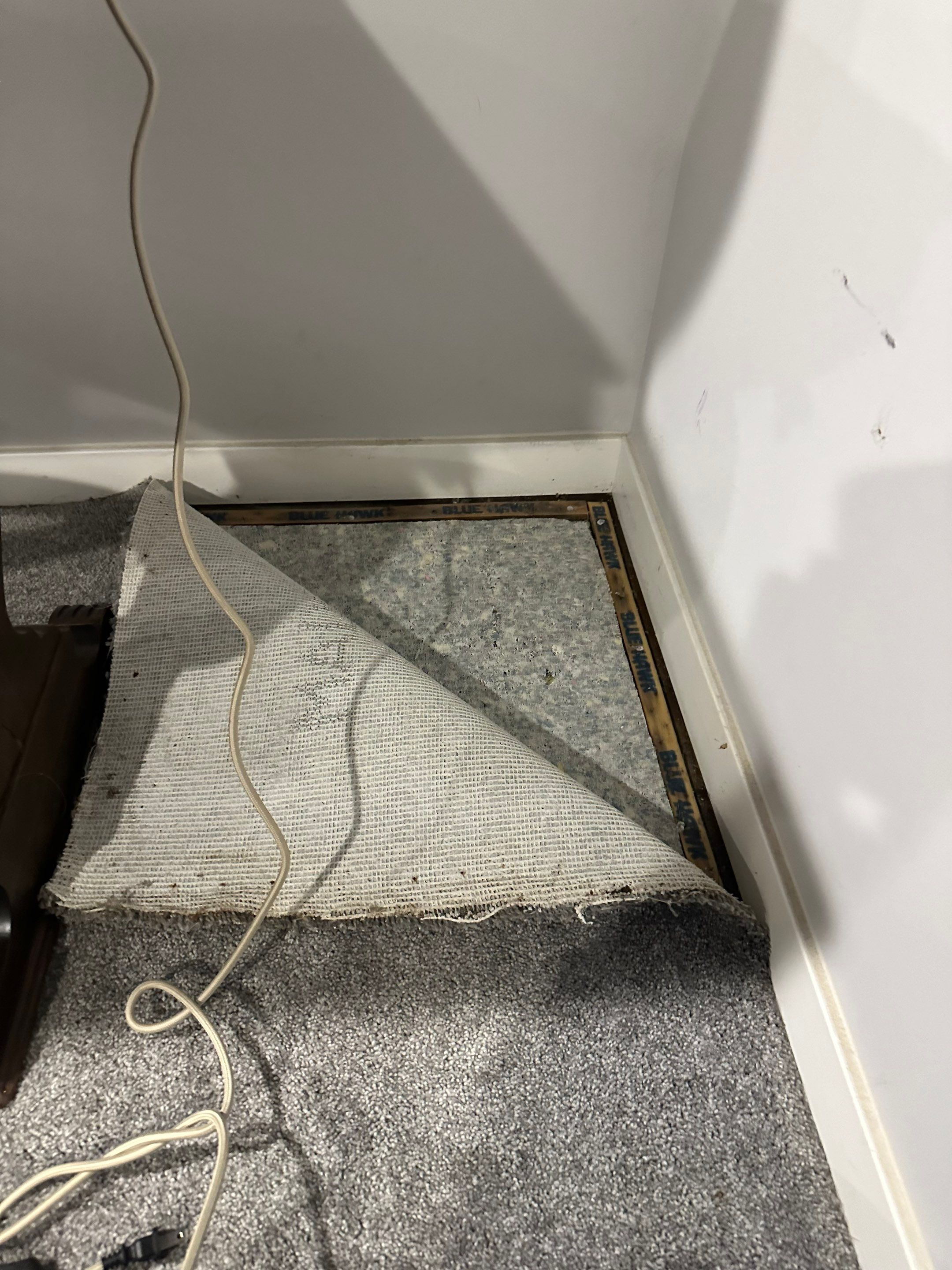 Basemen Oder removal with mold remediation and carpet pad replacement by BlueRed Restoration