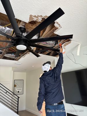 Mold Removal In Bradenton FL