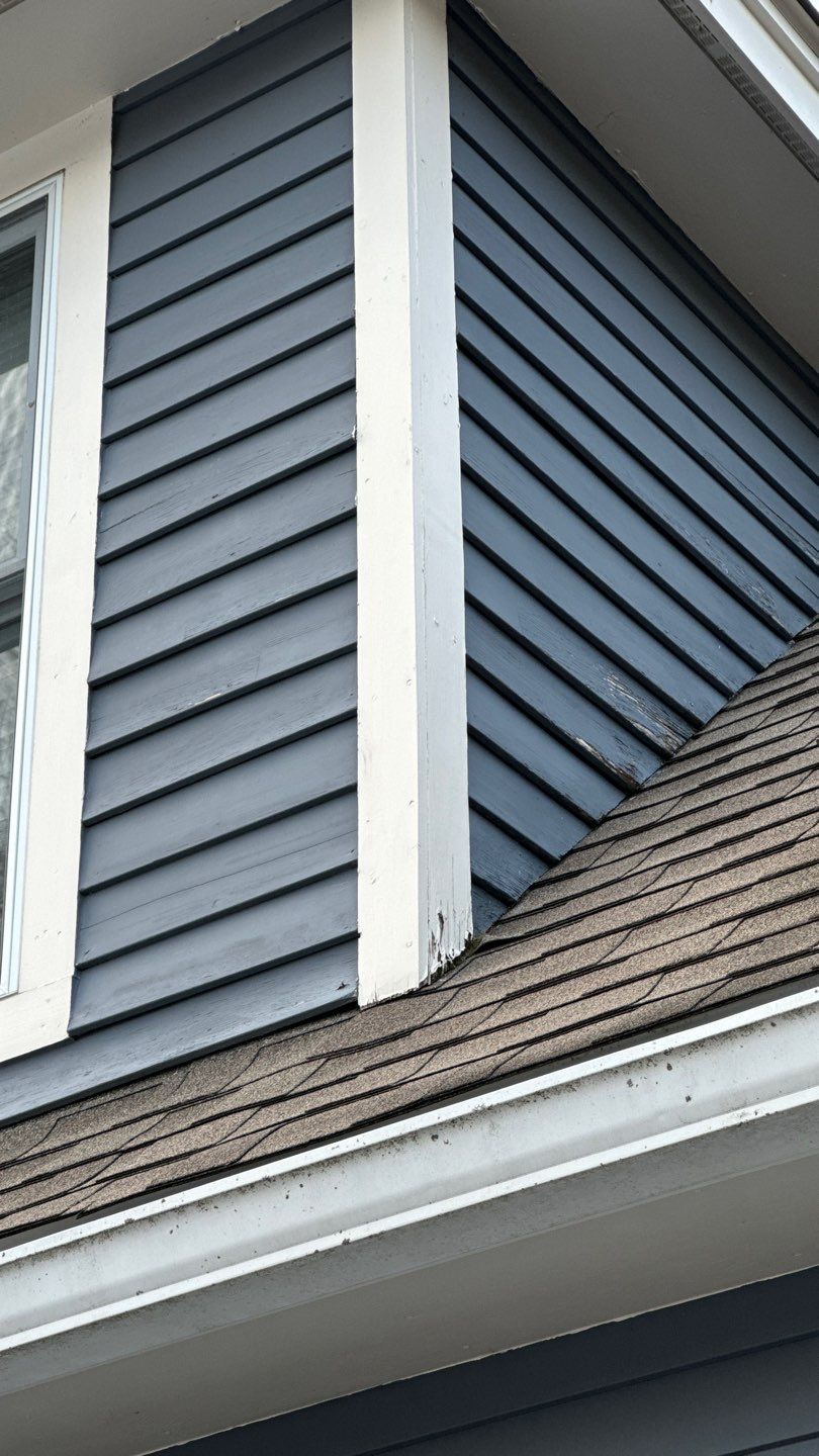 Exterior Painting & Carpentry Repairs by EXCELLENCE | CARTO