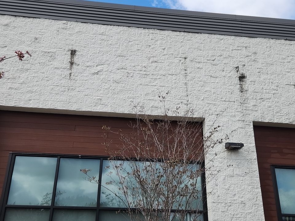 Soft Wash using Soft wash solution by Willamette Outdoor Wash LLC