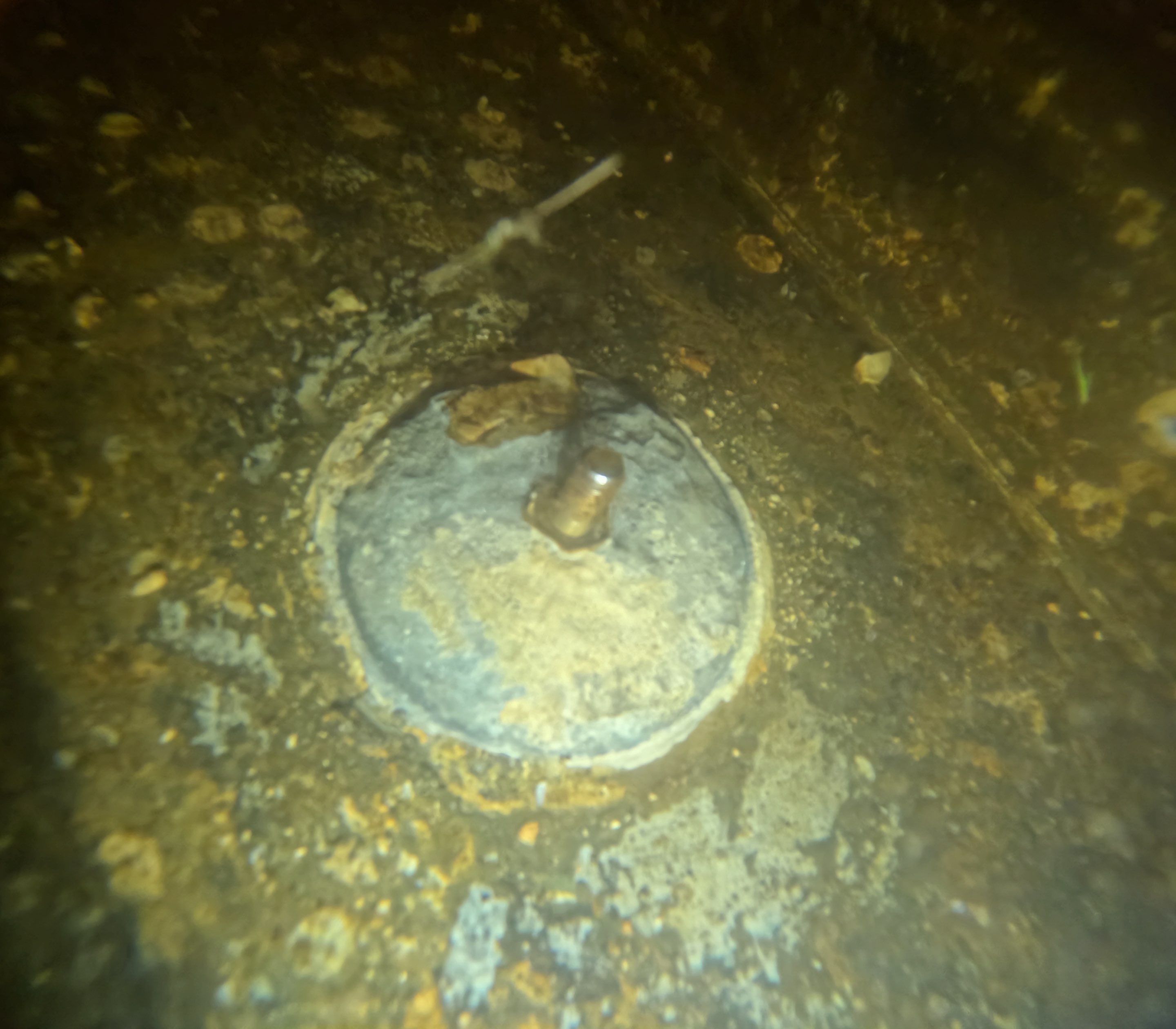 Project in North Fort Myers, FL by Florida Hull Cleaning 