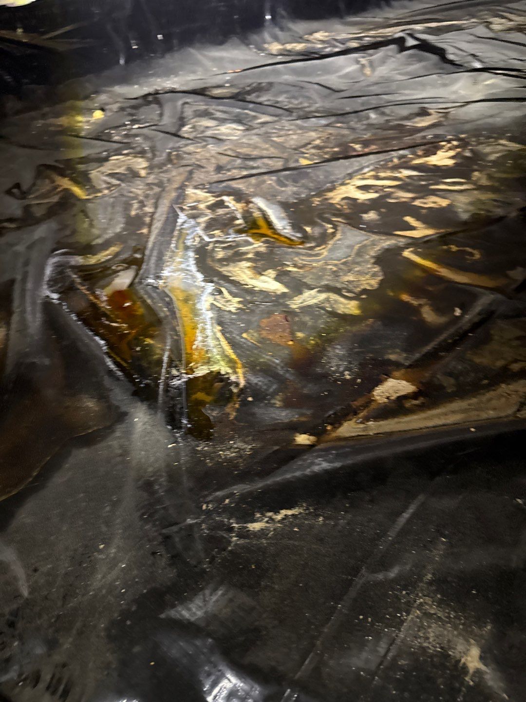 Bathroom and Crawlspace Water Damage and Mold by Healthy Home Solutions