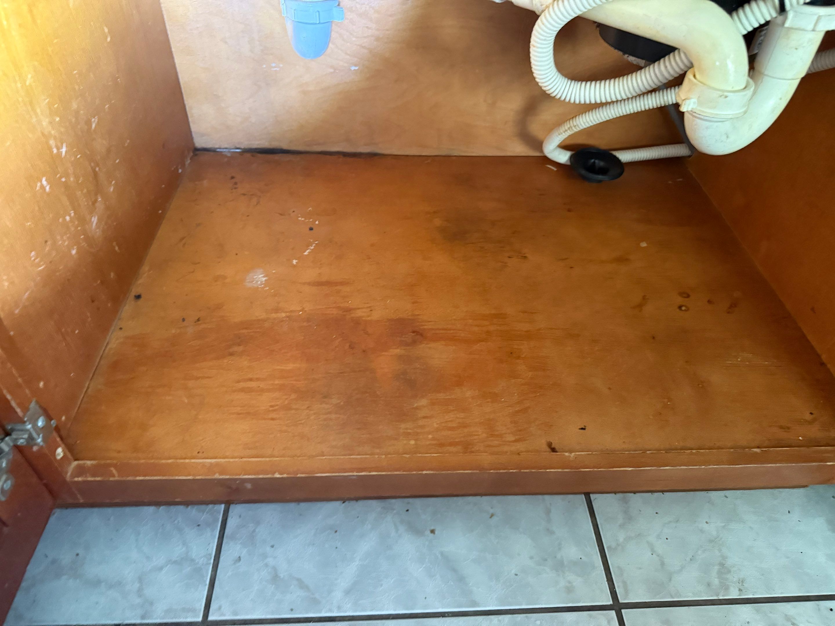 Project in Kissimmee by You Restorations LLC DBA YOU-Home