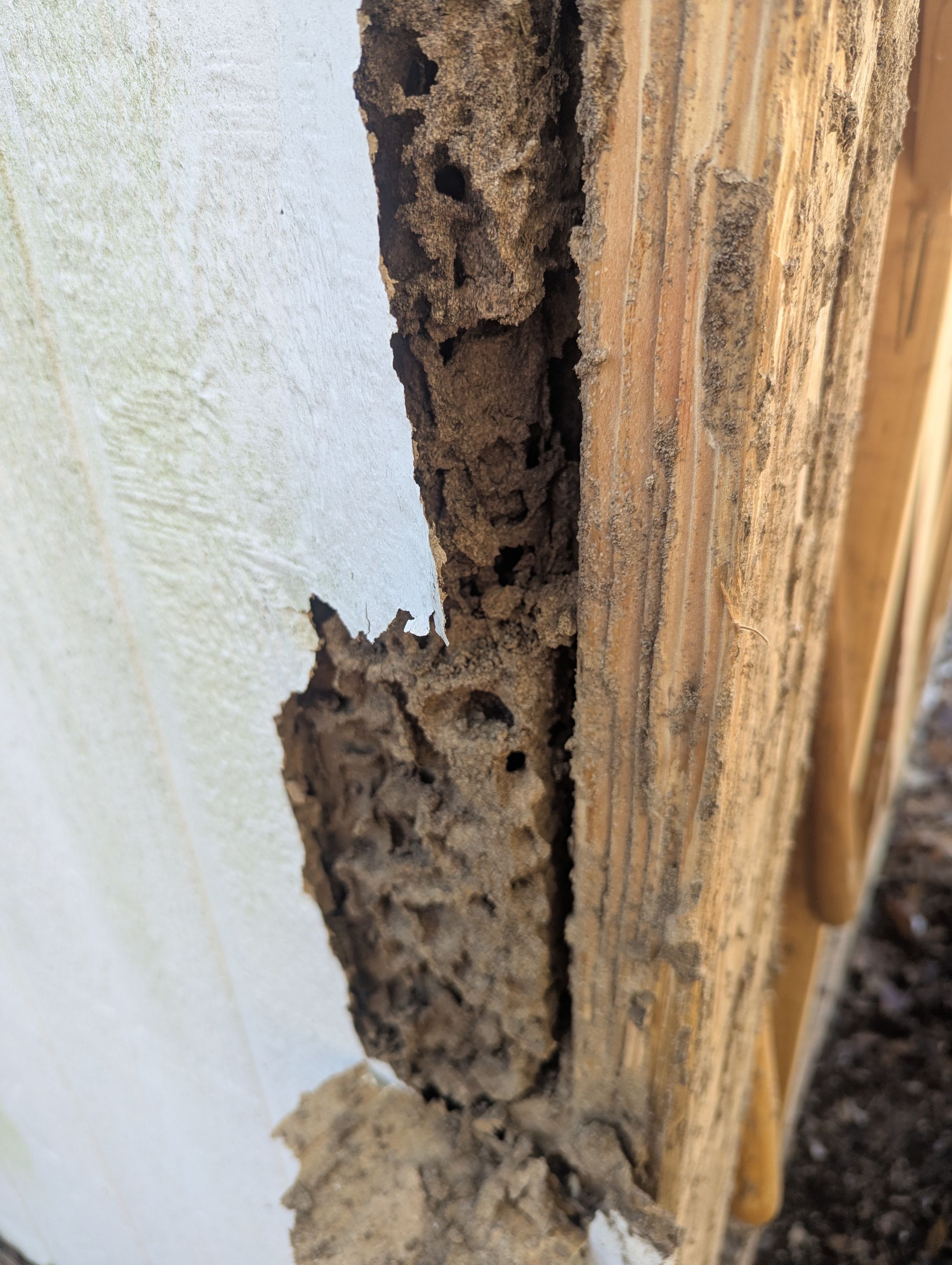 Fresh Paint, Fresh Look: Exterior Makeover in Mineola, TX by Quality Coats Painting