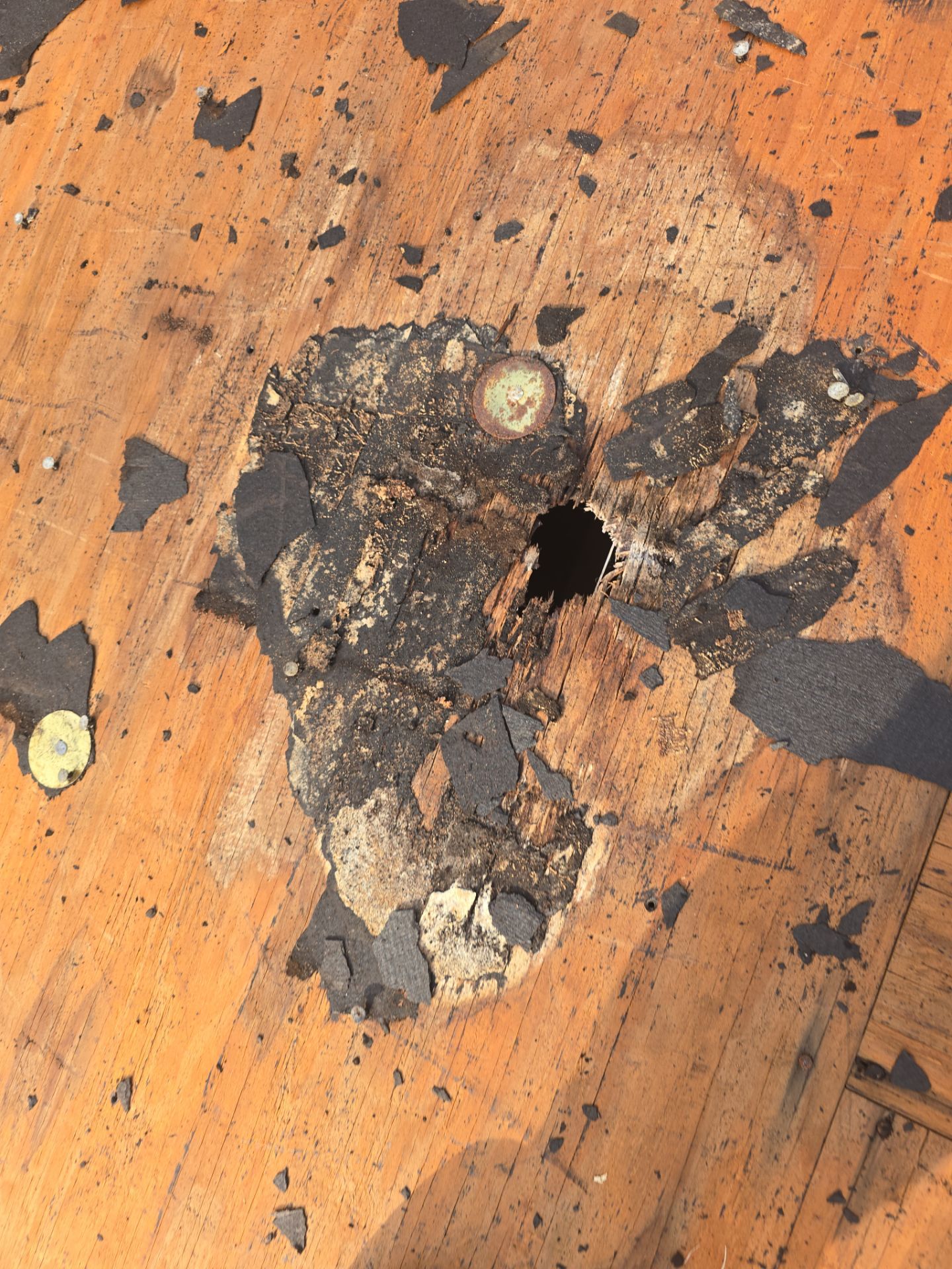 Roof Replacement Pasadena by Roof Repair Company